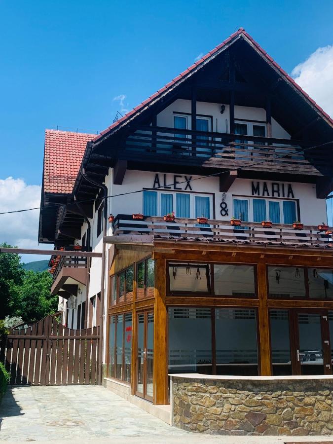 فندق Alex & Maria Cărpinişu المظهر الخارجي الصورة
